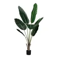 Sztuczna roślina Strelitzia – zielona – 135 cm – 1 sztuka