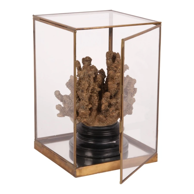 Pudełko wystawowe - złoto - mosiądz i szkło - 40 cm - 1 sztuka